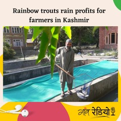 Rainbow trouts rain profits for farmers in Kashmir