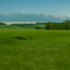 From Reality 4