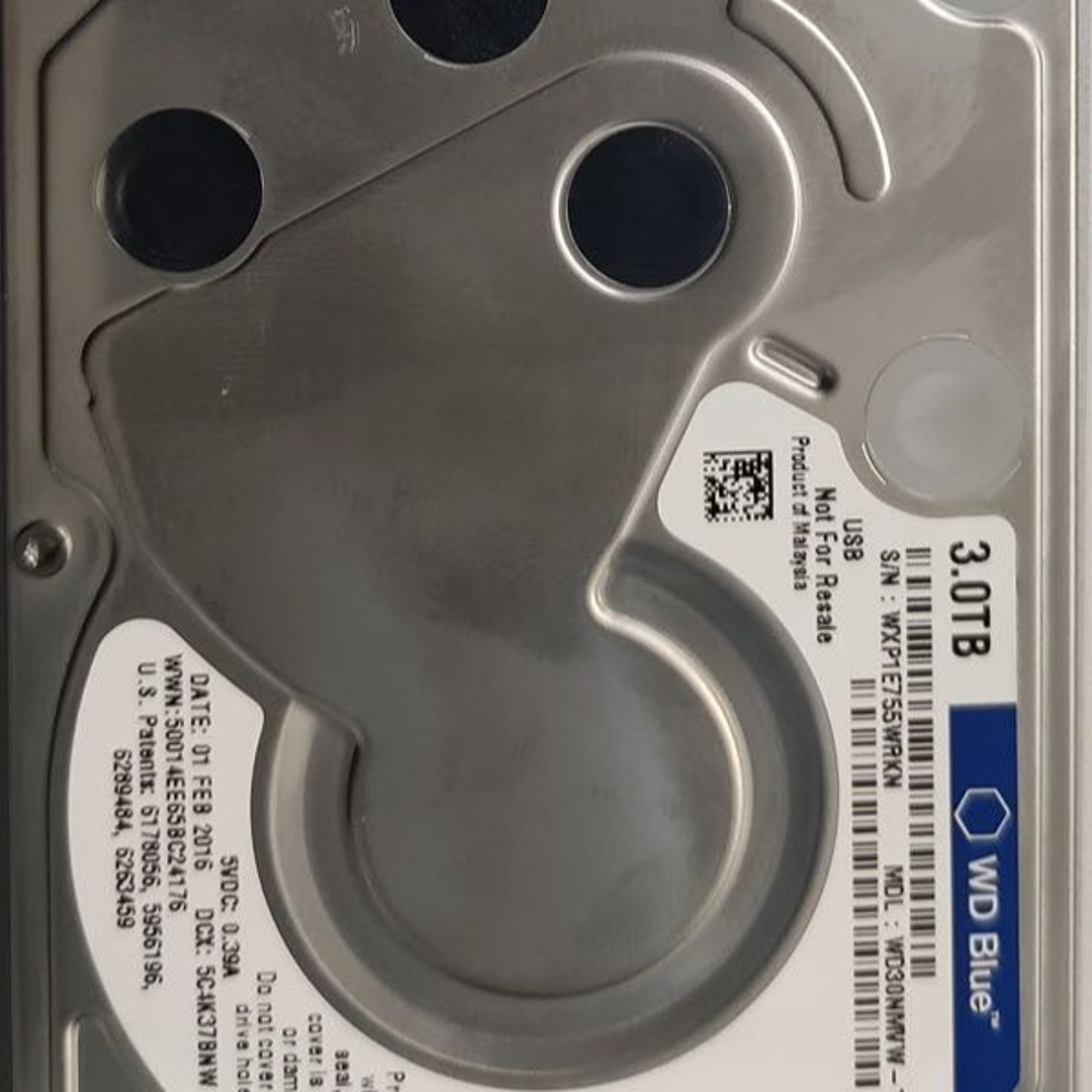 Datenrettung Western Digital Festplatte macht Geräusche