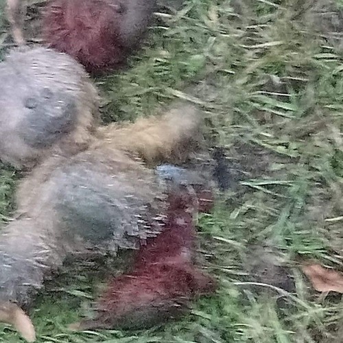 i tak do zgonu (Prod. Caligula.666)