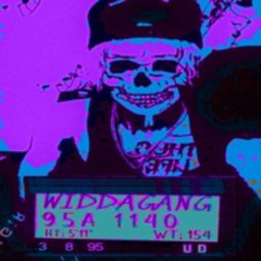 🏴‍☠️WIDDAGANG🏴‍☠️