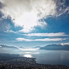 Chère Amie, je vous ai aimée