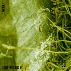 Lost In Ether | P R E M I E R E |  STNDRD - Folie [Ucker]