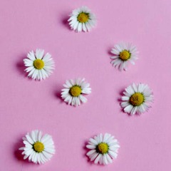 Daisies - Mike James (prod. Wonderlust)