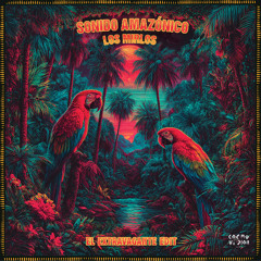 FREE DL : Los Mirlos - Sonido Amazónico (El Extravagante Edit)