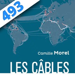 493 - Internet pète un câble, avec Camille Morel