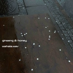 ginseng & honey (yung lean edit)