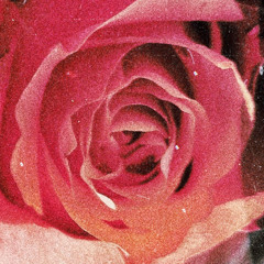 DEA DIA — "SOMBER SUMMER"