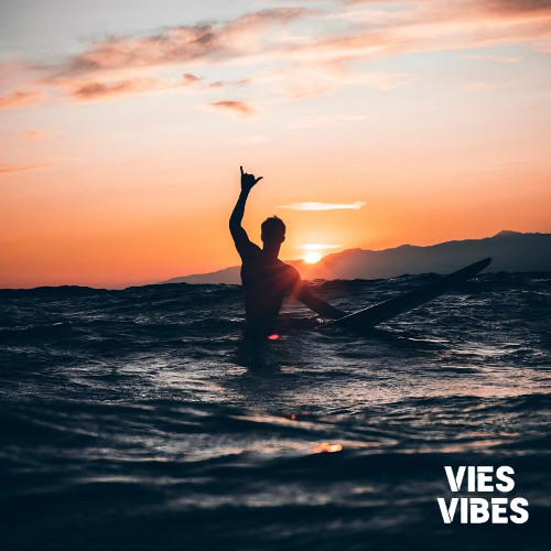 VIES VIBES - Flicker | OUT NOW 🌴