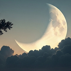 NIGHT