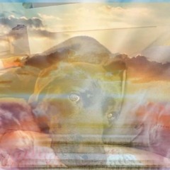 sai set_flyhigh&farewell my love_17102025