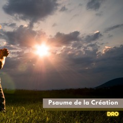 Psaume De La Création Cover By Dro