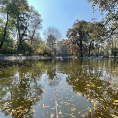 Chapultepec Lake, Mexico City