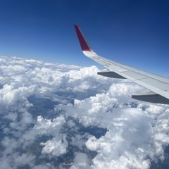 Mrulio playlist :yippie: