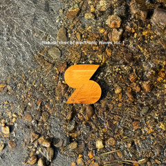 Natural river of electronic Waves Vol. 1