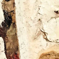 Hyphae – for organ and electronics (work in progress / excerpt)