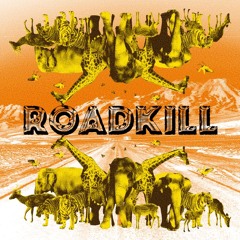 ROADKILL