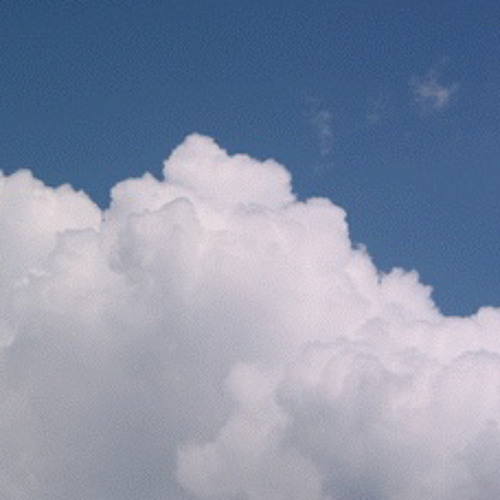 Cayo Banks - Last Place