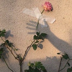 Park Da Eun (박다은)- 푸른 칵테일의 향기 블라인드 오디션 )Fragrance of Blue Cocktail