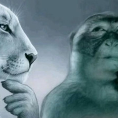 liên hoàn thập cẩm non stop cãi lương nhạc var chạm chết cha căng nhất vi en (w/dj kho quẹt)