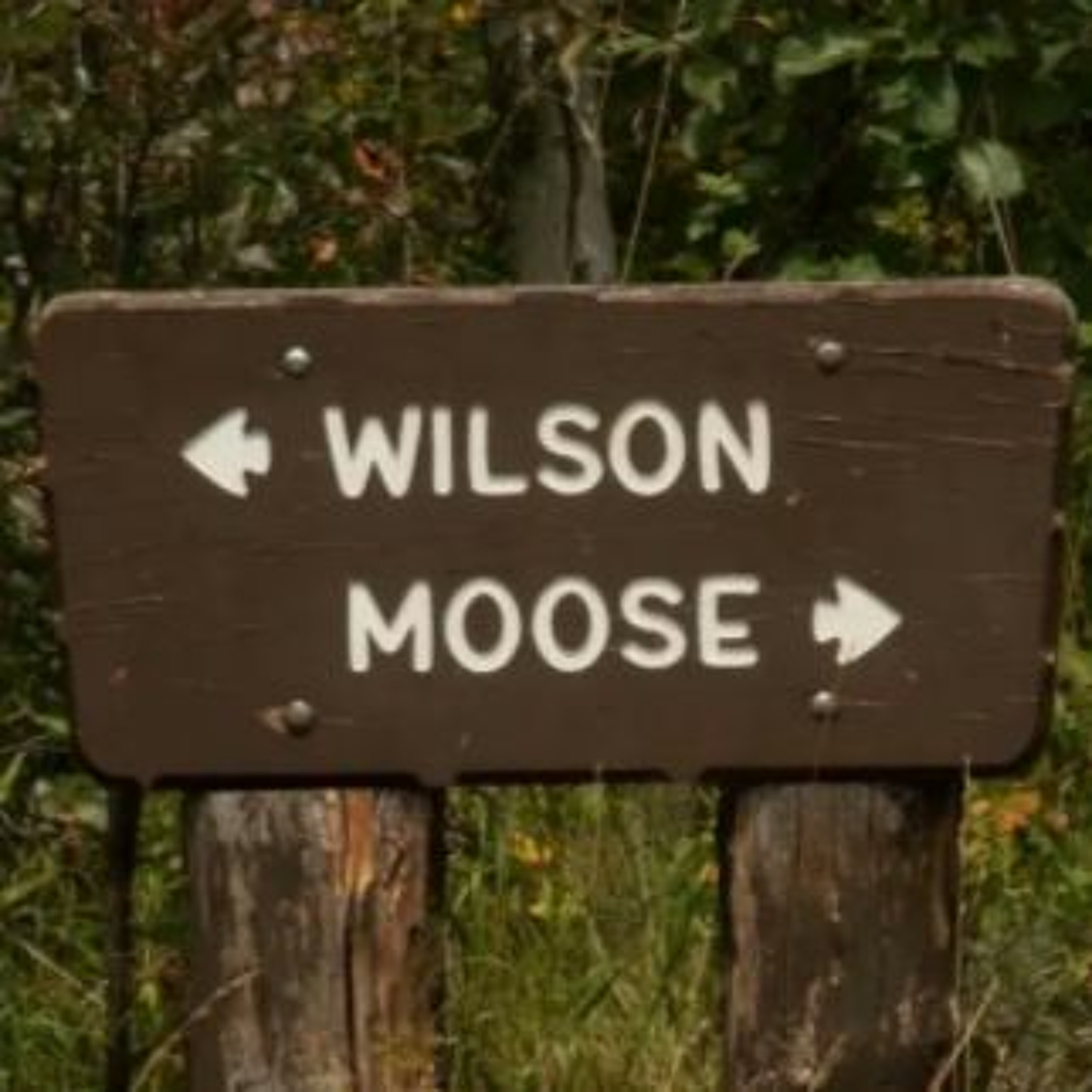 News Brief Feb. 16 | Bills Begin to Fail at the State Legislature, Moose-Wilson Road to Close episode artwork
