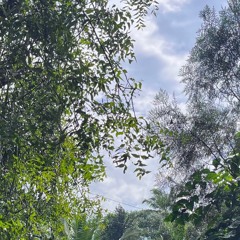 Warm Breeze.mp3
