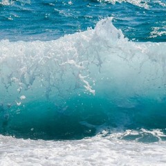 SHISH TAOUK feat. Julu줄루