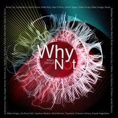Marc Denuit  // Why Not ? #1 March 2022 (Track 2018..2019..2022)
