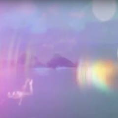 Wim De Craene - Rikky2013 Trappists Re-edit (2021 Remaster)