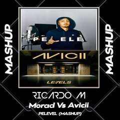 Morad Vs Avicii - Pelevels (Ricardo Mashup)