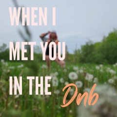 WHEN I MET YOU IN THE dnb mix 23'