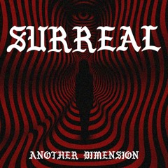 Live @ Surreal, Lockschuppen Bielefeld