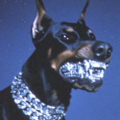 犬猿 feat. guzzy youngboy