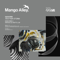 Premiere: Quivver - Another Storm (Mike Rish Remix) [Mango Alley]