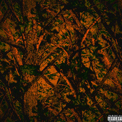 7, YANKEE - TUKO CLASSIC prod. seydou