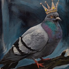 Pigeon Hobble