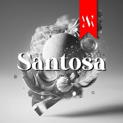 Wiwekast 004 : Santosa