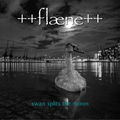 Swan Splits The Moon (Album Version DJ downloadable)
