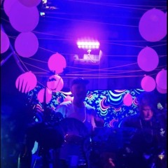 Högt i Tak b2b The Machine Soul at Peter Svarte's 50th Birthday Bash