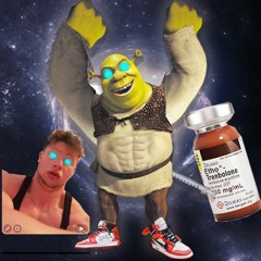 Shrekvnt - What are you doing in my swamp (Swampbrah Version)