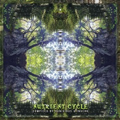 5.- Melted Symptom & Abissal Void - Tepezcohuite en el bsoque (150BPM) Time Records Mastering-1