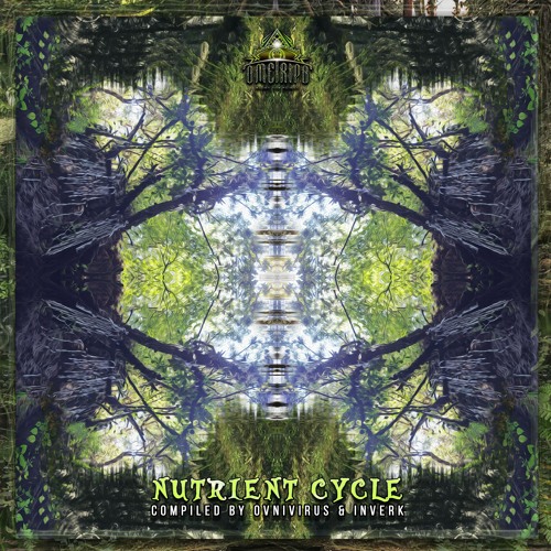 5.- Melted Symptom & Abissal Void - Tepezcohuite en el bsoque (150BPM) Time Records Mastering-1