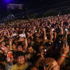crowd