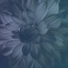 dark reflection [vinyl set #1]