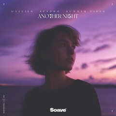 Dallien, Spagbo & Summer Vibes - Another Night