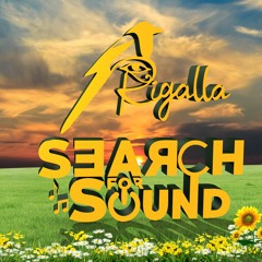 Search For Sound Episode 5 ( Summer Trance & progressive Selections )