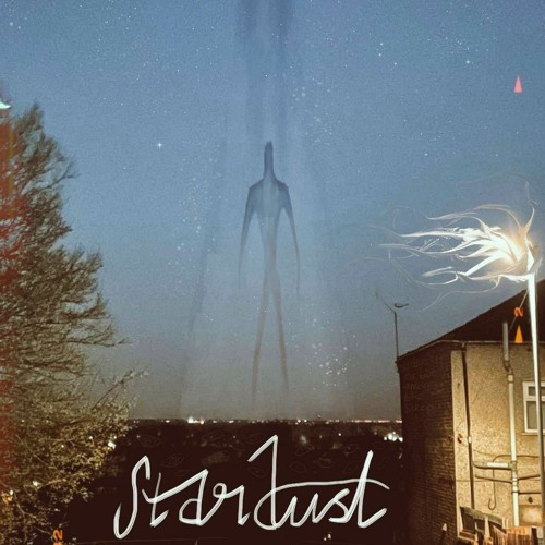 Stardust (Inside)