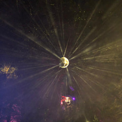 Bagheera @Bass Am Stein 2024