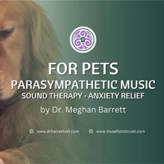 Soothing Exploration • Parasympathetic Music For Pets• Sound Therapy • Anxiety Relief