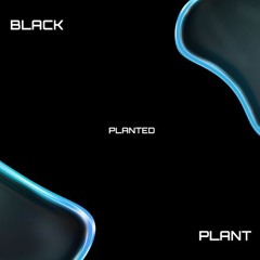 BLACK PLANT